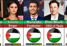 celebrities who support palestine