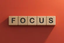 another word for focus